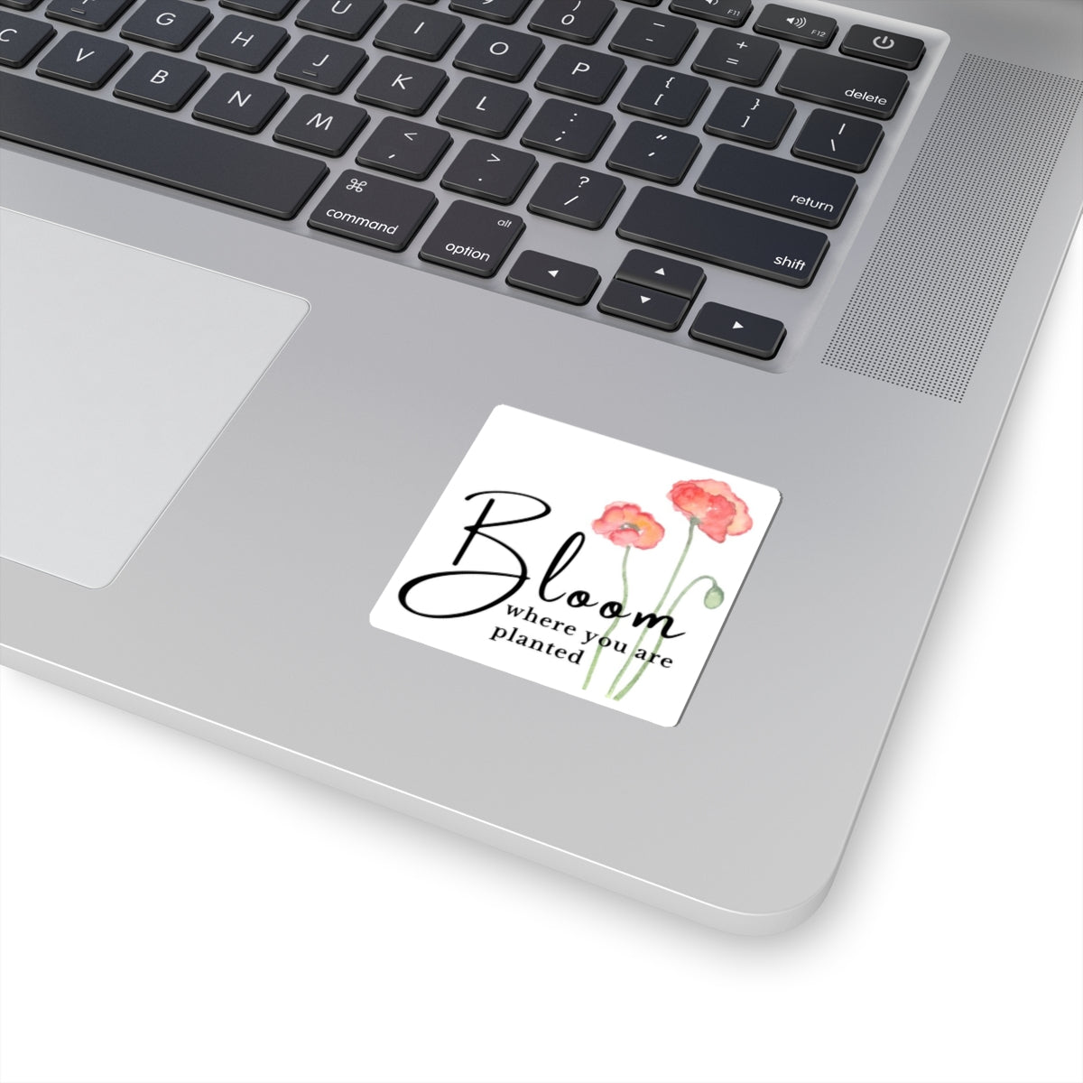 Kiss-Cut Stickers