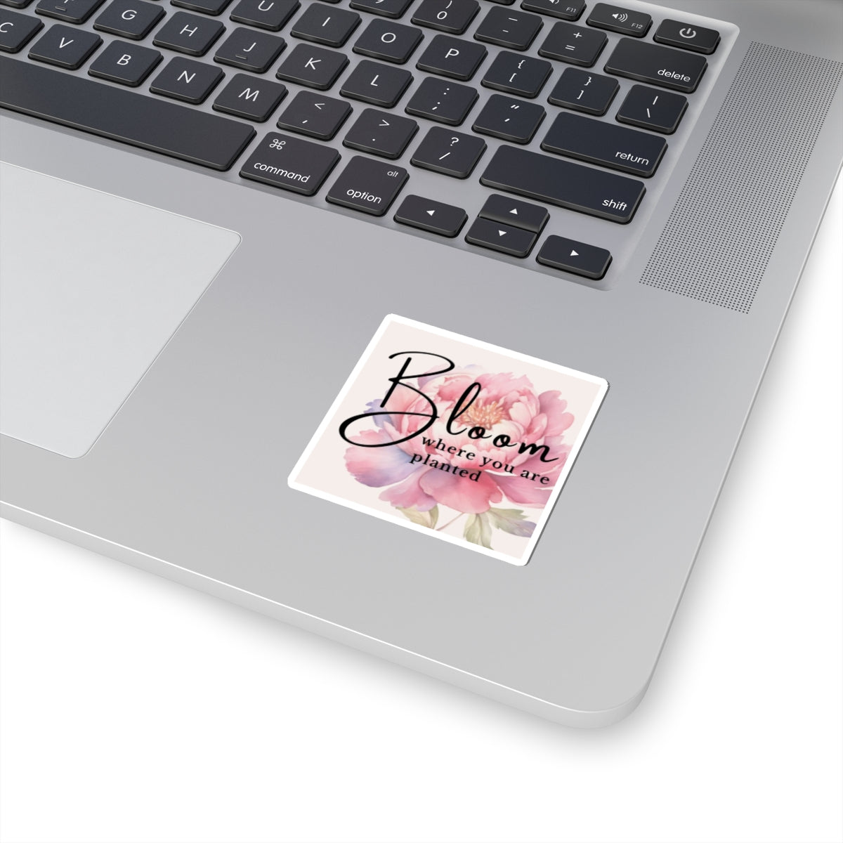 Kiss-Cut Stickers